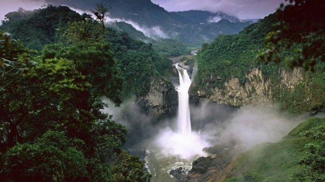 Дикая природа Амазонки 1 серия «Колыбель жизни» | NAT Geo
