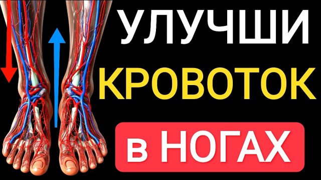 Улучши кровообращение в ногах за 20 минут / Упражнения для второго сердца