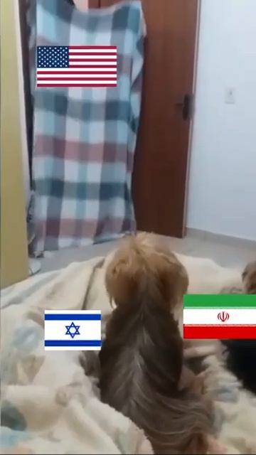О ситуации в мире.