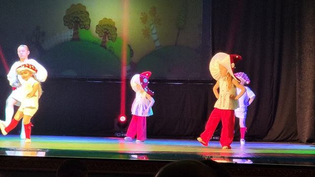 грибочки 🍄🟫