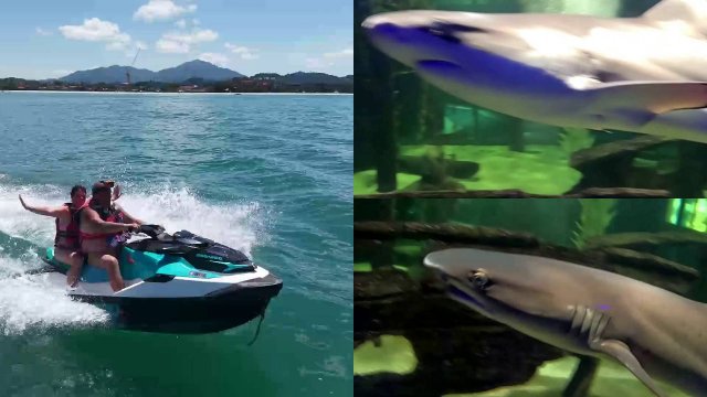 ЛАНГКАВИ ЗАМЕТКИ ПУТЕШЕСТВЕННИКА И ПОЛЕЗНЫЕ СОВЕТЫ. ПЛЯЖ И ОКЕАНАРИУМ