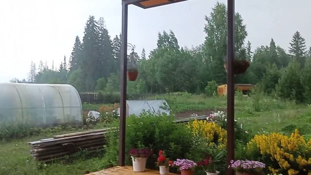 Дождь на даче