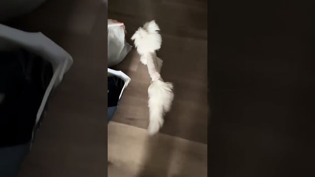 1000052088.mp4