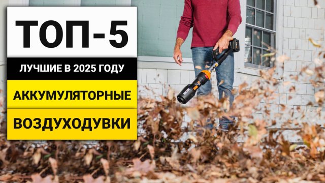 Лучшие аккумуляторные воздуходувки | ТОП-5 в 2025 году