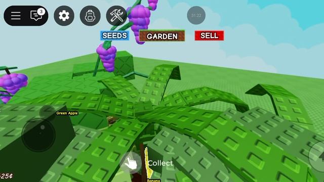 Стрим по огороду