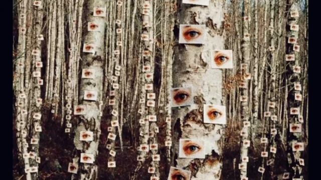 песня yungatita 7 weeks and 3 days