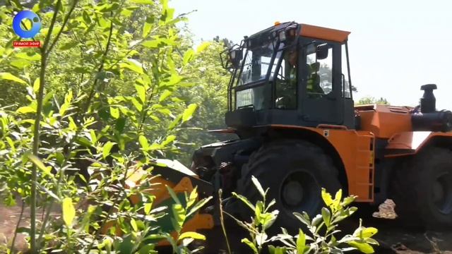 В «Россети Новосибирск» расчистка просек ЛЭП под контролем современных технологий