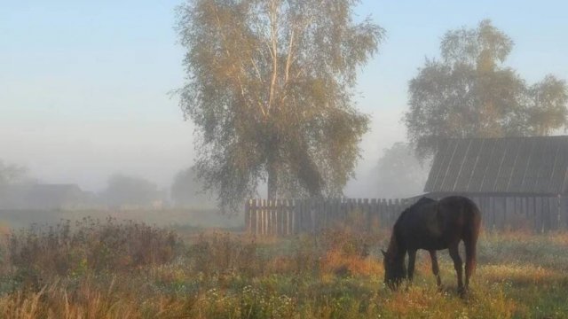 Дом на краю села (Над деревней туман) разбор на гармони №-420 с цифрами