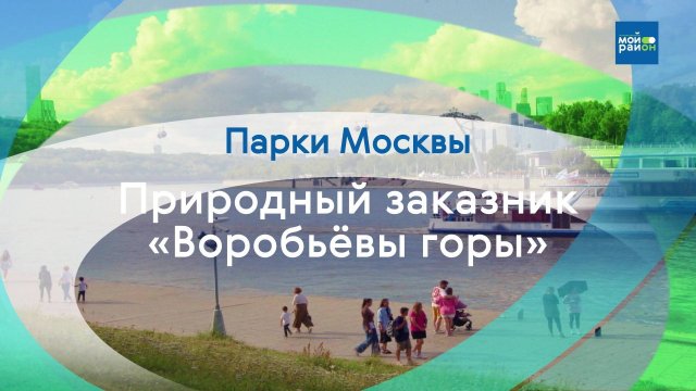 Парки в деталях: Ландшафтный парк «Воробьёвы горы»