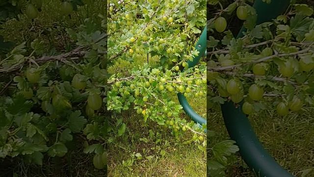 VID_20250702_095744
