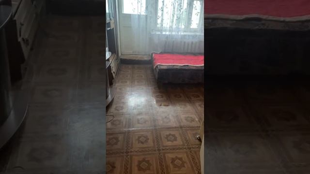 -4406056458222017272