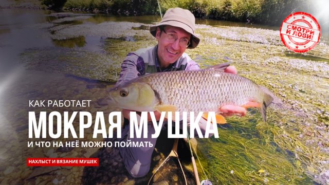 Тонкая Игра: Мокрая Мушка и Охота за Голавлём и Уклейкой | Нахлыстовая Ловля в Тёплой Воде