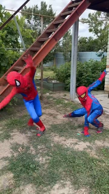 Spiderman vs Spiderman#shorts