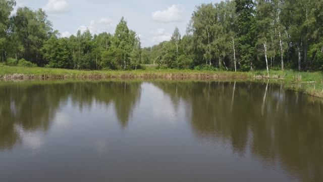 Шеверняево