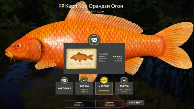 МЕГА РАЗДАЧА ПРОДОЛЖАЕТСЯ НА МЕДНОМ И ФАРМ НА ВОСТОЧНЫХ ОСЕТРАХ В РУССКОЙ РЫБАЛКЕ 4 РР4