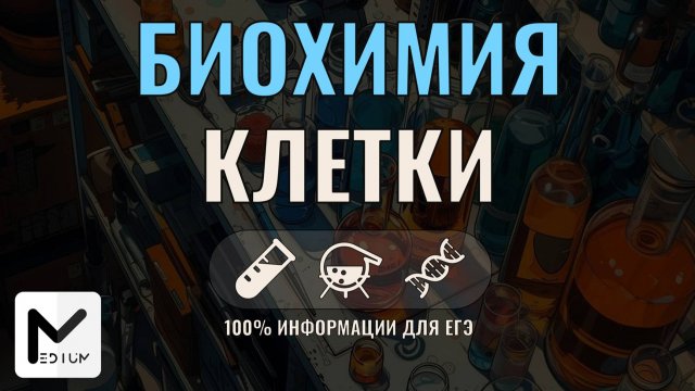 Биохимия клетки / ЕГЭ по биологии 2025-2026