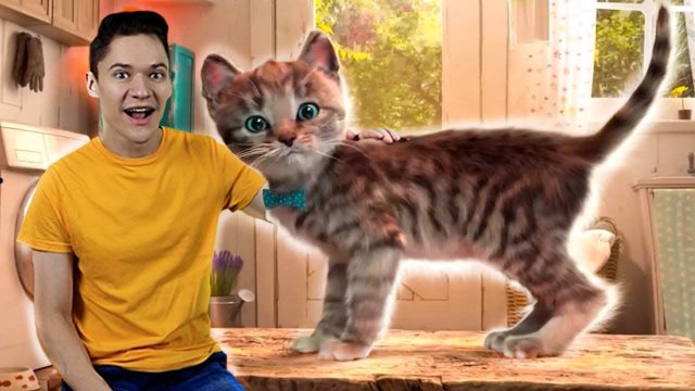 Приключения Маленького Котика - Я в Игре Ухаживаем за Котиком