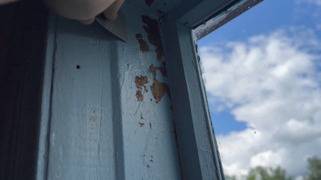 Одна в деревне
