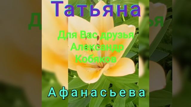 Для Вас Александр Кобяков