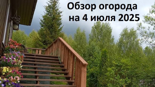Обзор сада-огорода июль 2025.