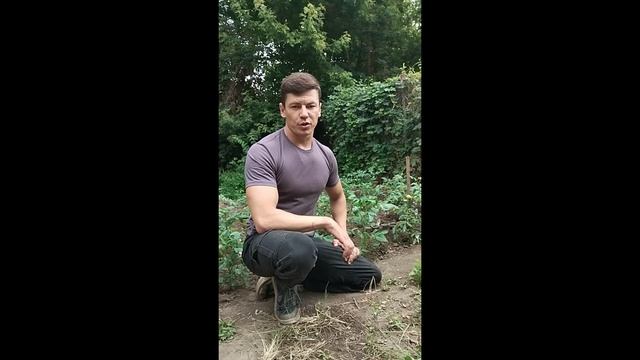 Не растут помидоры. Как помочь?🍅🍅🍅