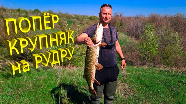 🔥 Все щуки ЖРУТ РУДРУ... Как попасть на ЖОР КРУПНОЙ ЩУКИ (часть 1)? Идеальный воблер на щуку 🔥