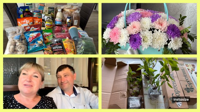 Гуляем по СВЕТОФОРУ 🔴🟢🟡 ГОРТЕНЗИИ с Wildberries. Дети ПОЗДРАВИЛИ 💐