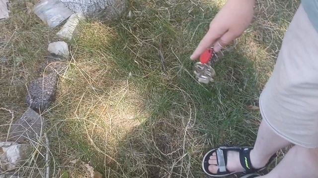 100дней на заброшеной территории летнего лагеря рядом с горами Аппалачи 1часть