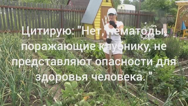 6 соток 5 июля 2025 года. 1 часть