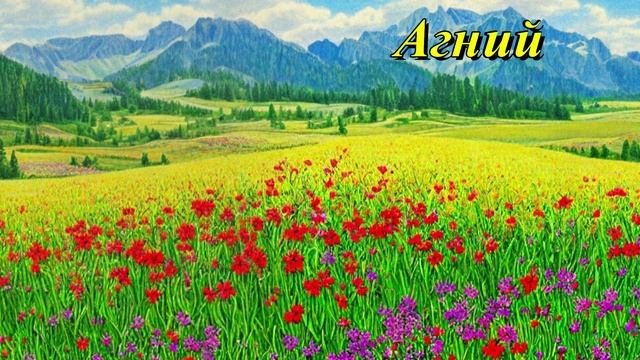Агний