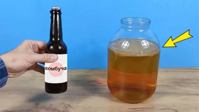 Как вырастить чайный Гриб из магазинной Комбучи!
