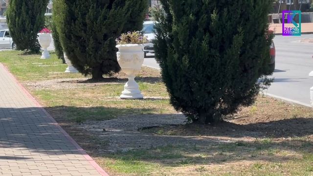 Лето в Керчи