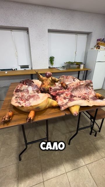 Свинья 🐖