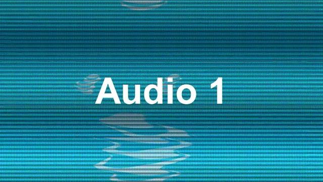 Audio 1