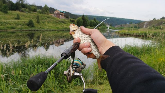 Ловим мирную рыбу на бомбарду