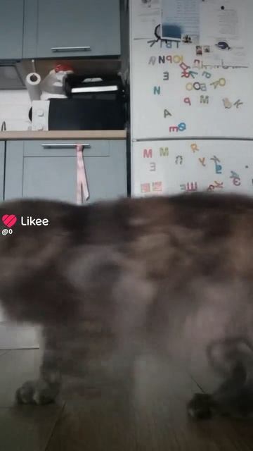 сейчас меня покормят 😋