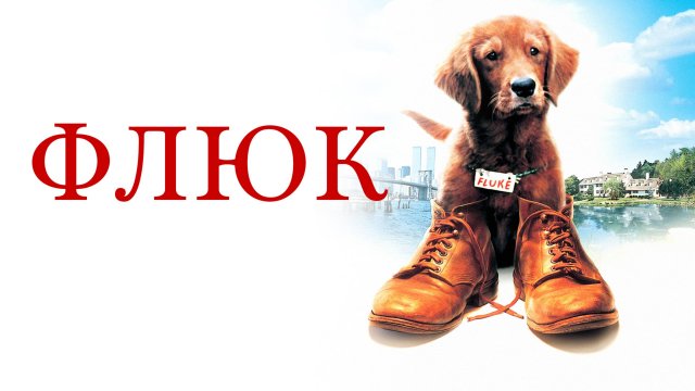 Флюк | Fluke (1995)