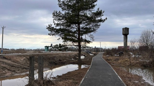 д.Дятлово уч. 132 (11 соток)