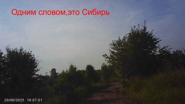20.06.18.05.Лесные дороги сибири.