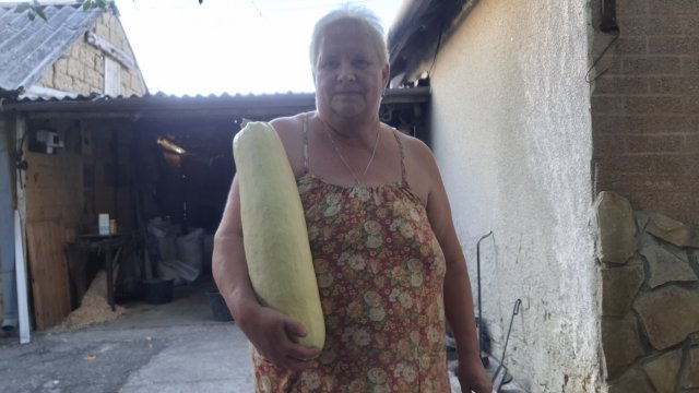 285. Привет из Крыма. Опять пятница, опять покупки. 11.07.25.