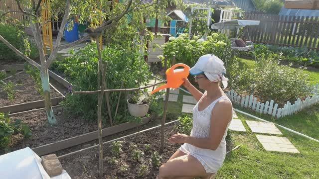 6 соток 8 июля 2025 года. 2 часть. декор