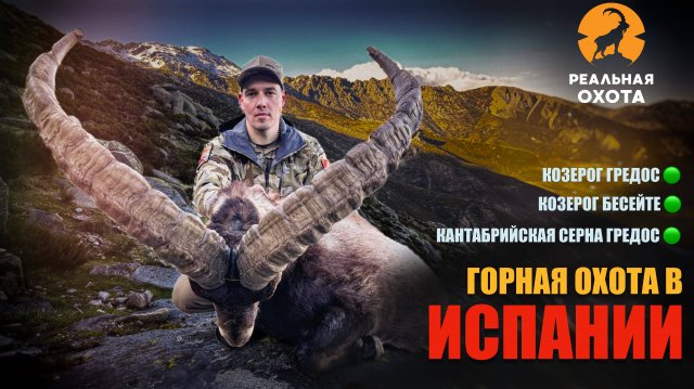 ТРОФЕЙНАЯ ГОРНАЯ ОХОТА В ИСПАНИИ | КРОВАВАЯ КОРРИДА | РЕАЛЬНАЯ ОХОТА