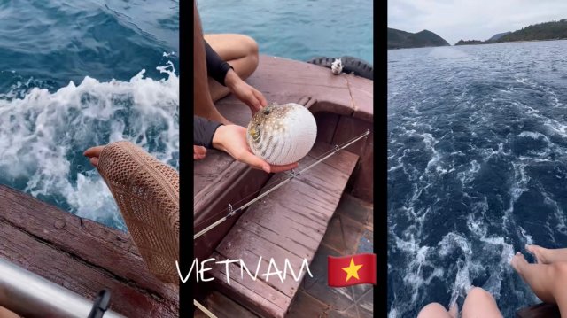 ВЬЕТНАМ ЦЕНЫ 2025 🇻🇳