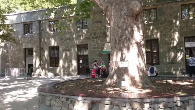 Воронцовский дворец и парк! (Архив 2020 г.)