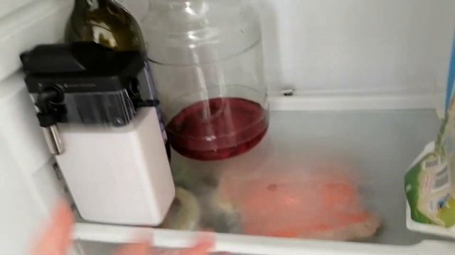 Почему в холодильнике скапливается вода?