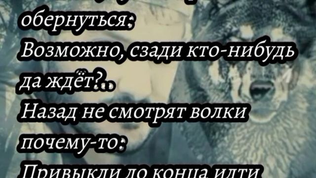 " Одинокий волк "