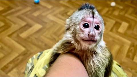 НЕ ПРОПУСТИТЕ! Финик впервые мне УЛЫБНУЛСЯ!