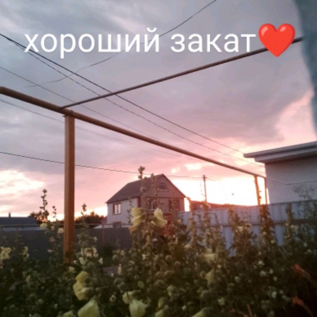 отвечаю на вопросы