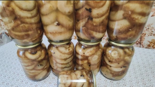 Маринованные ГРУЗДИ // грузди поэтому рецепту понравились всем 😋👍 мариную только поэтому рецепту