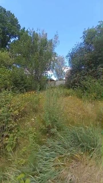 участок 30 соток